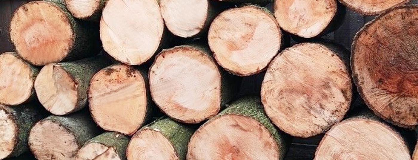 Kiln Dried Ash Firewood Logs in in Bridlington, Scarborough, Whitby & Filey 