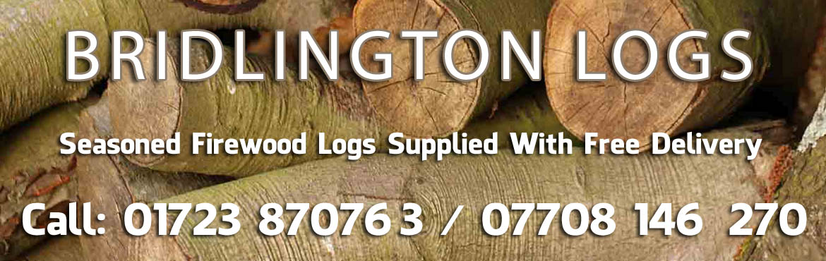 Winter Logs