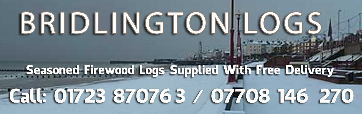 Winter In Bridlington