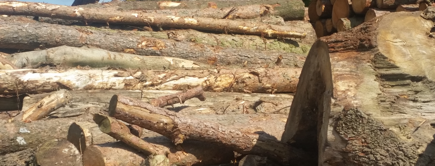 Timber For Bridlington Logs